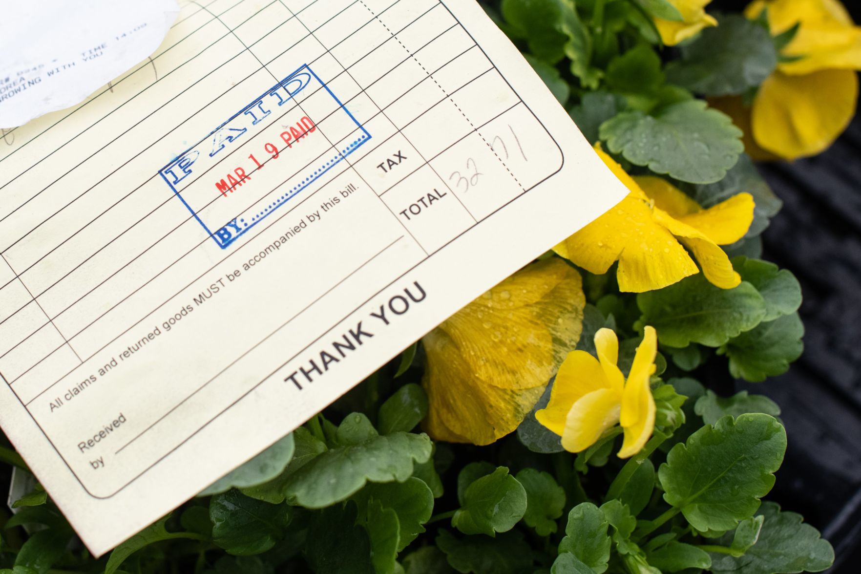 Plant stores salvage biggest season by adapting amid crisis